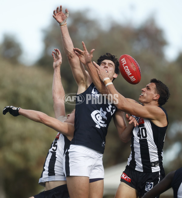 VFL 2023 Round 19 - Collingwood v Carlton - A-41417401