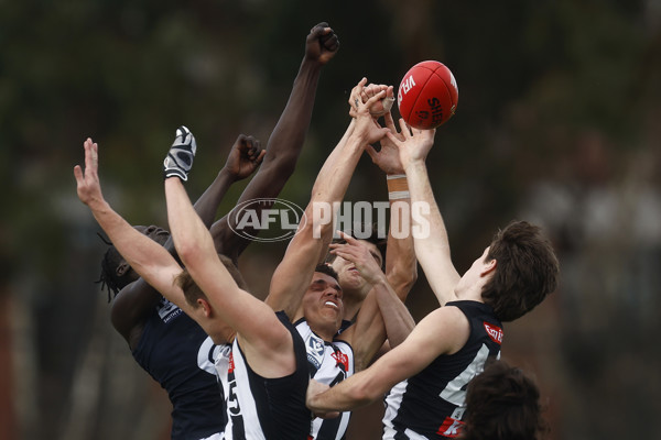 VFL 2023 Round 19 - Collingwood v Carlton - A-41417460