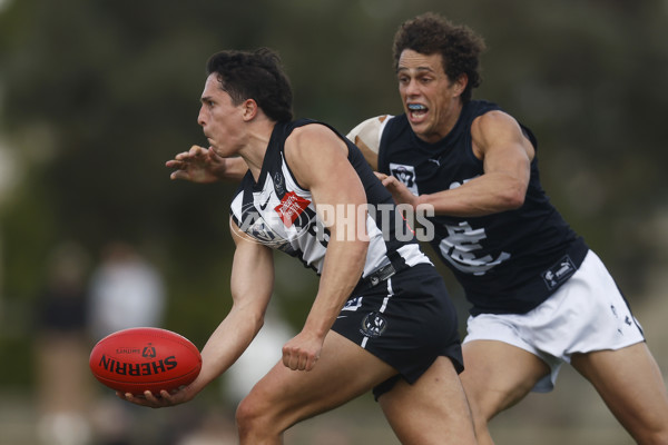VFL 2023 Round 19 - Collingwood v Carlton - A-41417462
