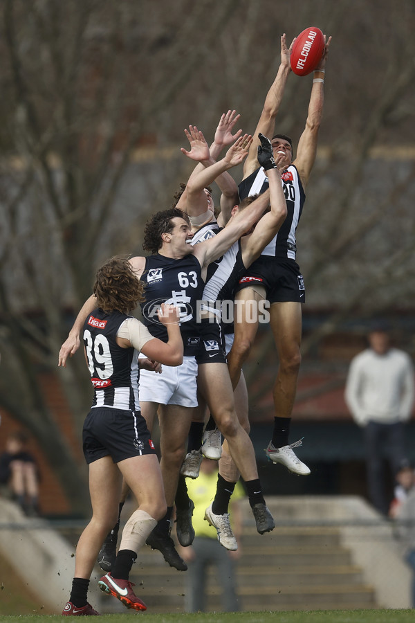 VFL 2023 Round 19 - Collingwood v Carlton - A-41417466
