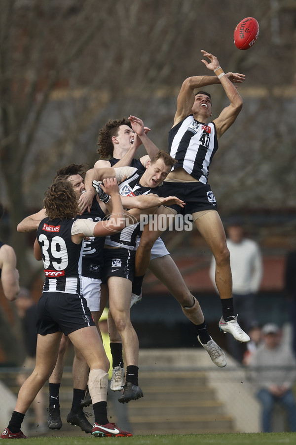 VFL 2023 Round 19 - Collingwood v Carlton - A-41417467