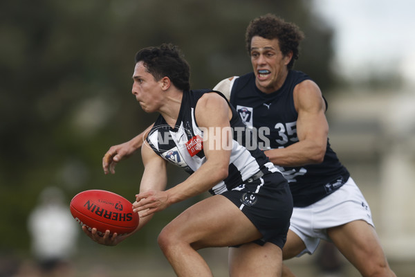 VFL 2023 Round 19 - Collingwood v Carlton - A-41417469