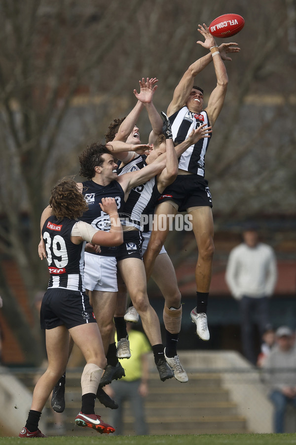 VFL 2023 Round 19 - Collingwood v Carlton - A-41419311