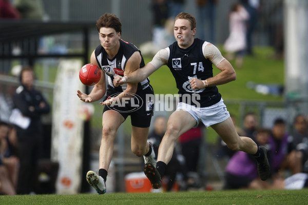 VFL 2023 Round 19 - Collingwood v Carlton - A-41420104