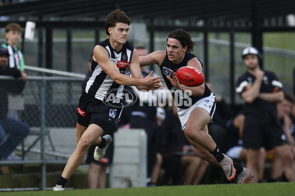 VFL 2023 Round 19 - Collingwood v Carlton - A-41420197