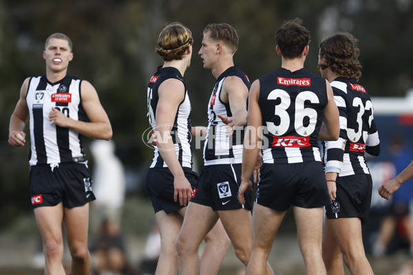 VFL 2023 Round 19 - Collingwood v Carlton - A-41422859