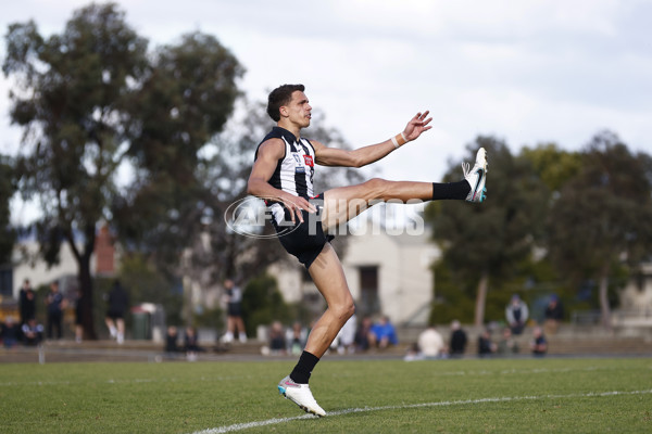 VFL 2023 Round 19 - Collingwood v Carlton - A-41422867