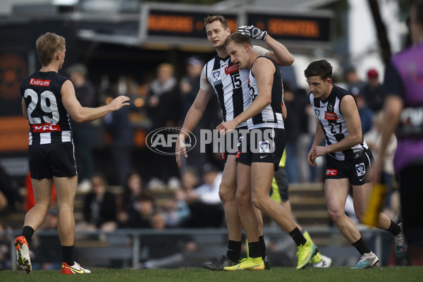VFL 2023 Round 19 - Collingwood v Carlton - A-41422916