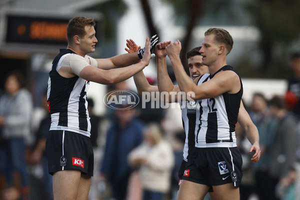 VFL 2023 Round 19 - Collingwood v Carlton - A-41422924