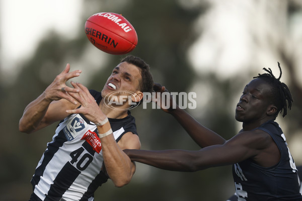 VFL 2023 Round 19 - Collingwood v Carlton - A-41424966