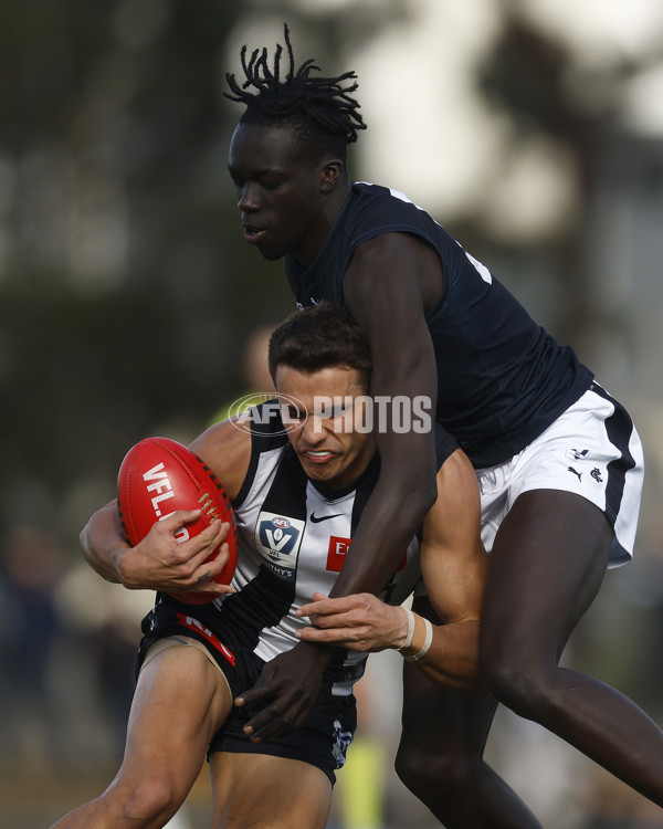 VFL 2023 Round 19 - Collingwood v Carlton - A-41424971