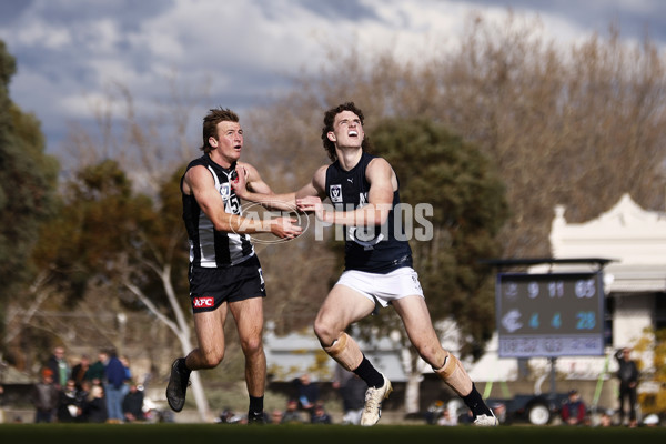 VFL 2023 Round 19 - Collingwood v Carlton - A-41424983