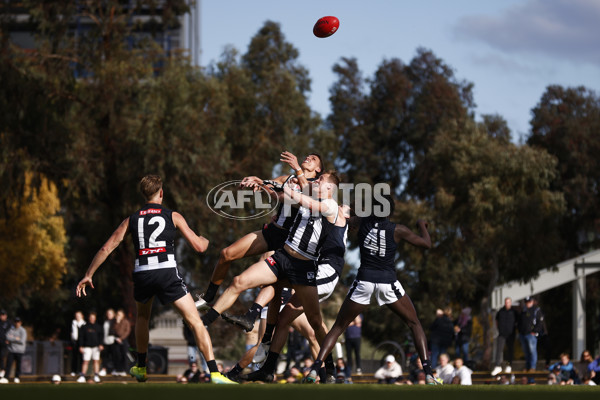 VFL 2023 Round 19 - Collingwood v Carlton - A-41425006