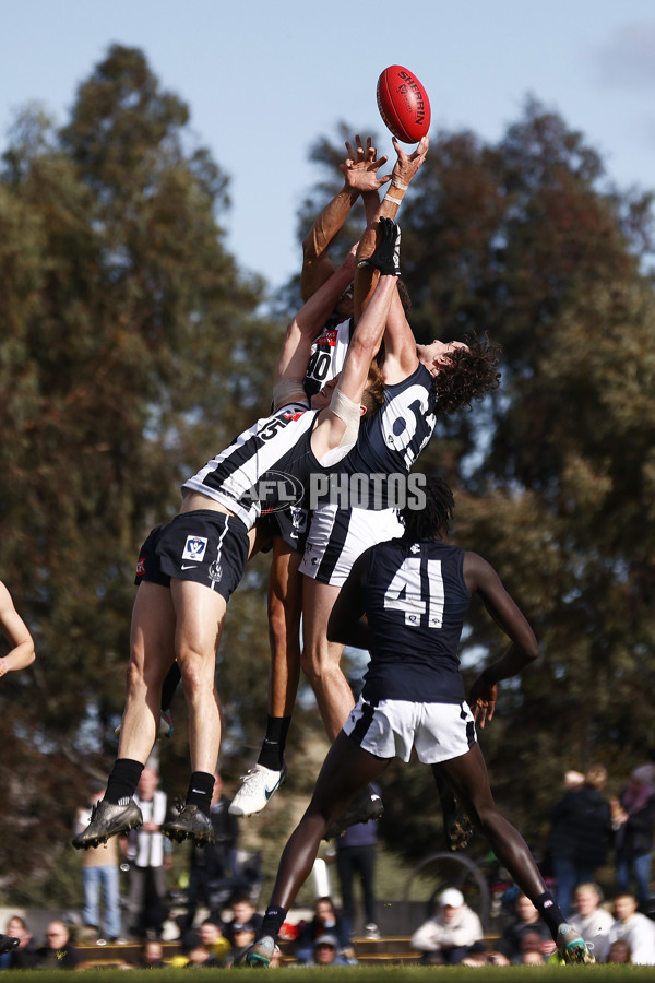 VFL 2023 Round 19 - Collingwood v Carlton - A-41425011