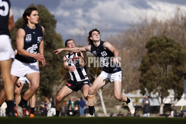 VFL 2023 Round 19 - Collingwood v Carlton - A-41425759