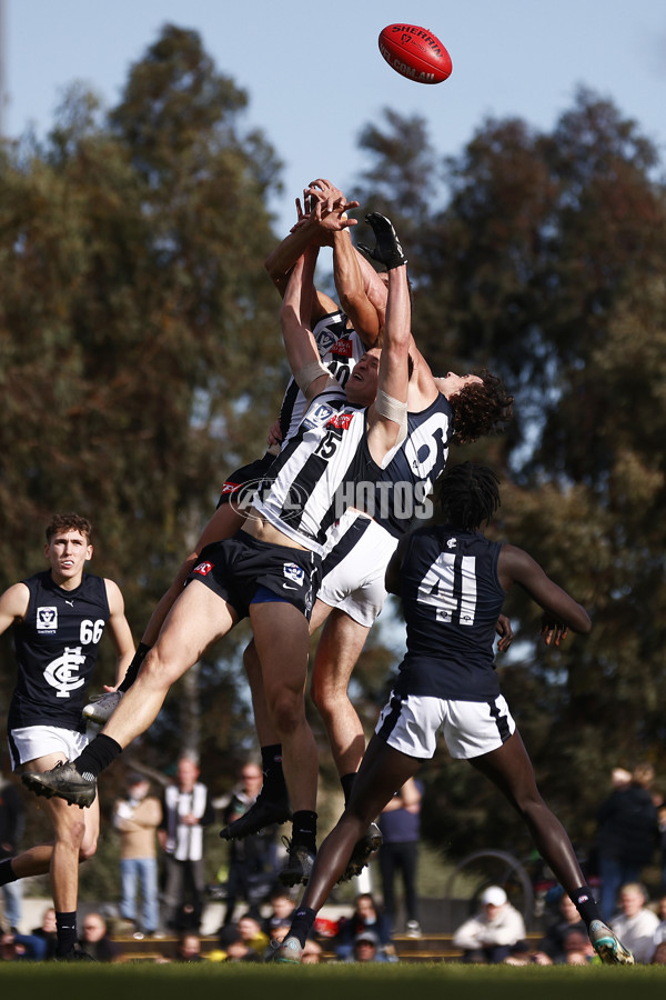 VFL 2023 Round 19 - Collingwood v Carlton - A-41425783