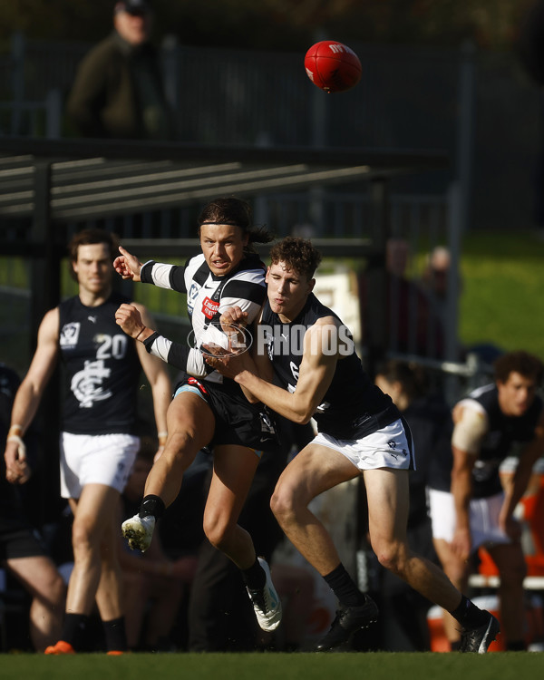 VFL 2023 Round 19 - Collingwood v Carlton - A-41427424