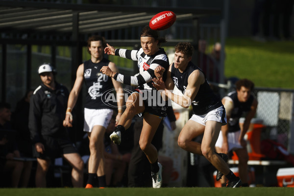 VFL 2023 Round 19 - Collingwood v Carlton - A-41427426