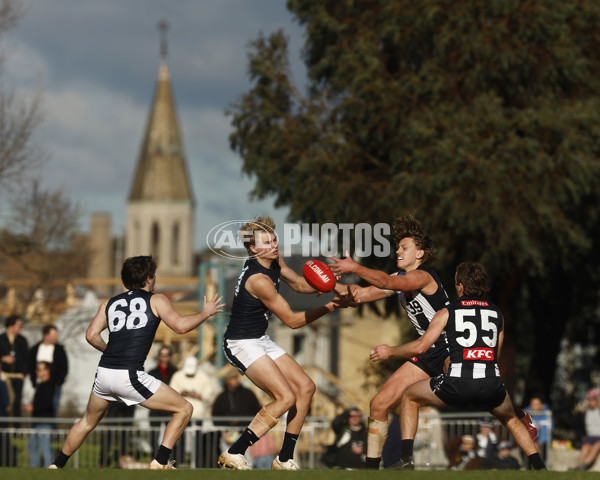 VFL 2023 Round 19 - Collingwood v Carlton - A-41429163