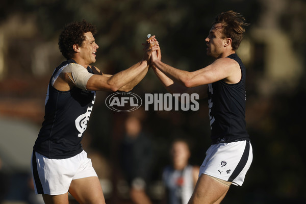 VFL 2023 Round 19 - Collingwood v Carlton - A-41429181