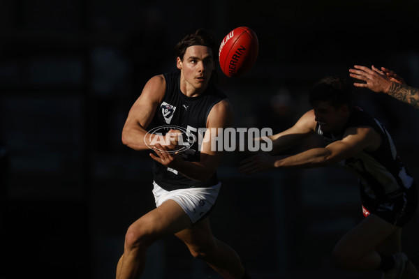 VFL 2023 Round 19 - Collingwood v Carlton - A-41429183