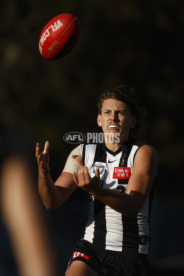 VFL 2023 Round 19 - Collingwood v Carlton - A-41430437