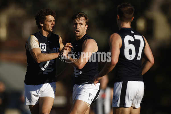 VFL 2023 Round 19 - Collingwood v Carlton - A-41430439