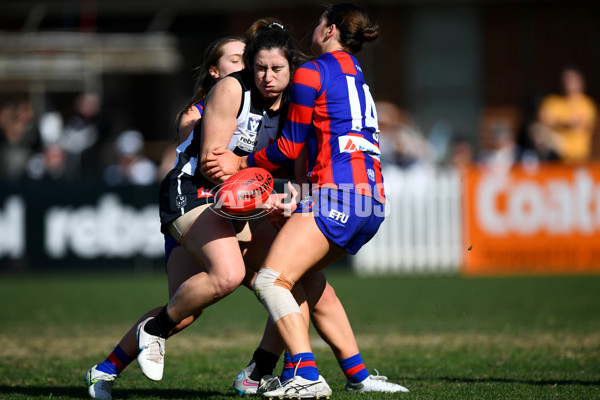 VFLW 2023 Grand Final - Collingwood v Port Melbourne - A-41474315