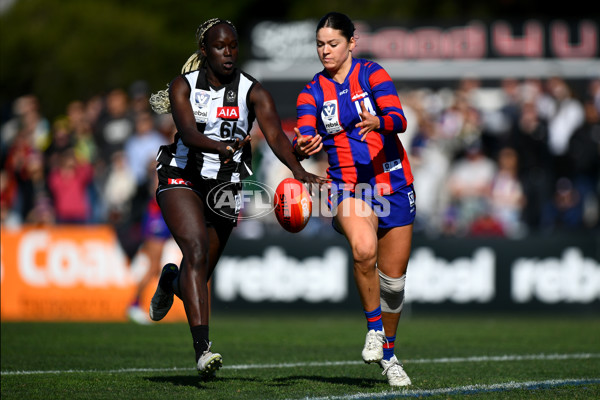 VFLW 2023 Grand Final - Collingwood v Port Melbourne - A-41479428