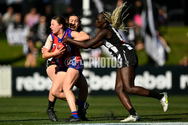 VFLW 2023 Grand Final - Collingwood v Port Melbourne - A-41481987