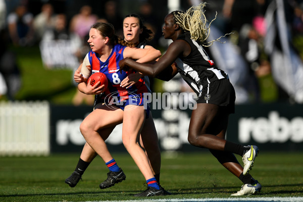 VFLW 2023 Grand Final - Collingwood v Port Melbourne - A-41481988