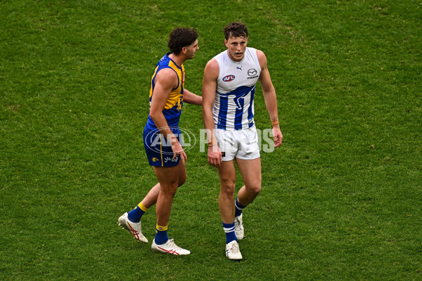 AFL 2023 Round 20 - West Coast v North Melbourne - A-41509312