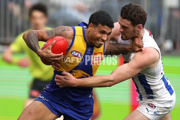 AFL 2023 Round 20 - West Coast v North Melbourne - A-41520999