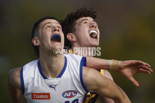 Coates Talent League Boys 2023 Round 15 - Oakleigh Chargers v Eastern Ranges - A-41676993