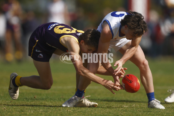 Coates Talent League Boys 2023 Round 15 - Oakleigh Chargers v Eastern Ranges - A-41677027