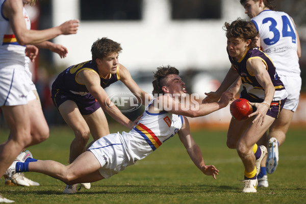 Coates Talent League Boys 2023 Round 15 - Oakleigh Chargers v Eastern Ranges - A-41677028