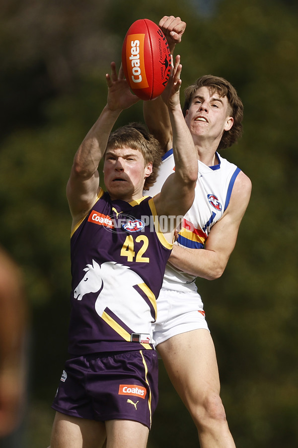 Coates Talent League Boys 2023 Round 15 - Oakleigh Chargers v Eastern Ranges - A-41682900