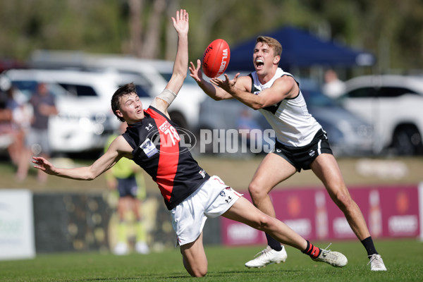 VFL 2023 Round 20 - Southport v Essendon - A-41686435