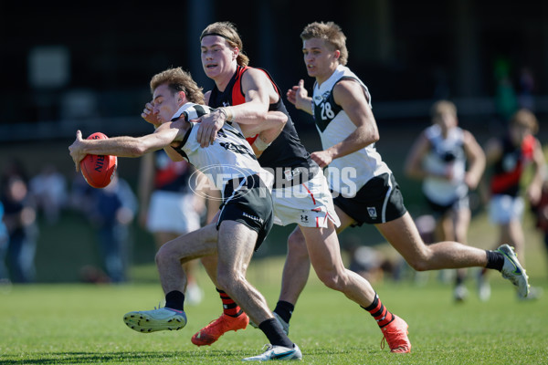 VFL 2023 Round 20 - Southport v Essendon - A-41686928