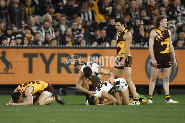 AFL 2023 Round 21 - Hawthorn v Collingwood - A-41713751