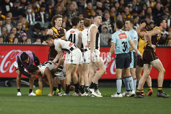AFL 2023 Round 21 - Hawthorn v Collingwood - A-41714136