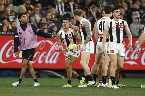 AFL 2023 Round 21 - Hawthorn v Collingwood - A-41714137
