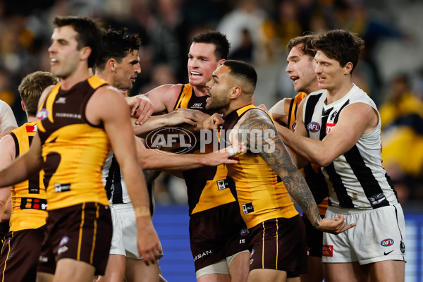 AFL 2023 Round 21 - Hawthorn v Collingwood - A-41714163