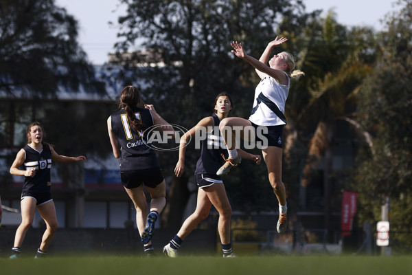 2023 Herald Sun Shield - Division 1 Senior Girls Grand Final - A-41852276