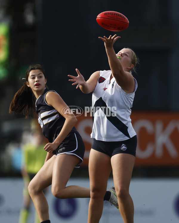 2023 Herald Sun Shield - Division 1 Senior Girls Grand Final - A-41853116