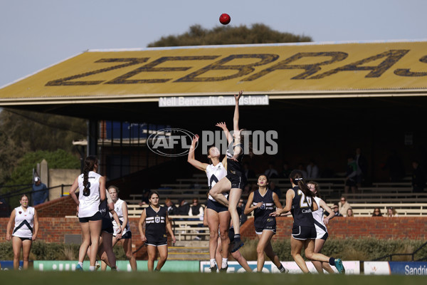 2023 Herald Sun Shield - Division 1 Senior Girls Grand Final - A-41853169