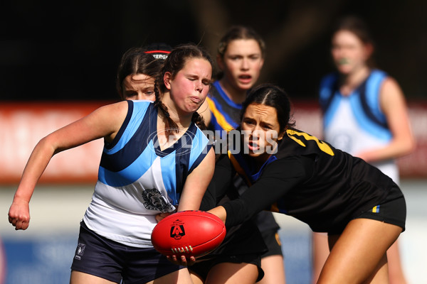 2023 Herald Sun Shield - Division 1 Intermediate Girls Grand Final - A-41878115