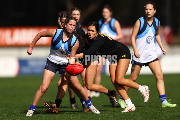 2023 Herald Sun Shield - Division 1 Intermediate Girls Grand Final - A-41878116