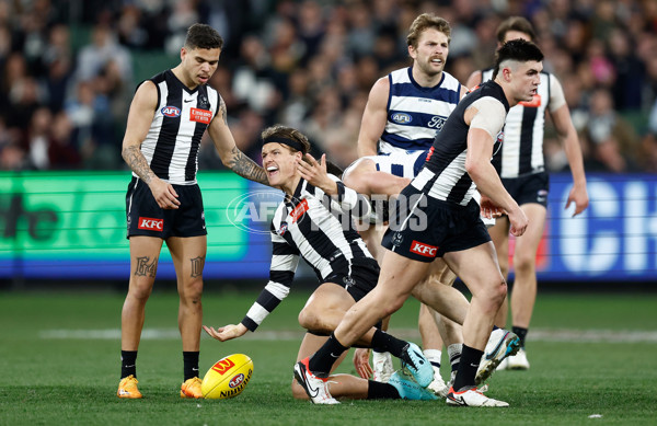 AFL 2023 Round 22 - Collingwood v Geelong - A-41915375