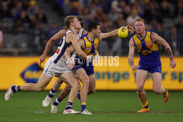 AFL 2023 Round 22 - West Coast v Fremantle - A-41969466